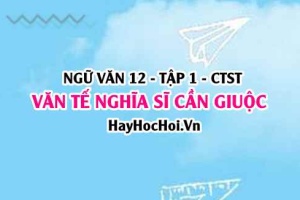 Soạn bài Văn tế nghĩa sĩ Cần Giuộc trang 75, 76, 77, 78, 79, 80 Ngữ văn 12 Chân trời sáng tạo